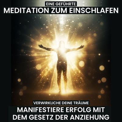 Verwirkliche deine Träume: Manifestiere Erfolg mit dem Gesetz der Anziehung - Raphael Kempermann, Audio, 4067248877500