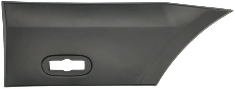 BLIC 5703-06-3547575P Side moulding