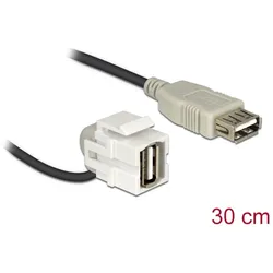 DELOCK Keystone Modul USB2.0 A Buchse > USB2.0 A Buchse 110°