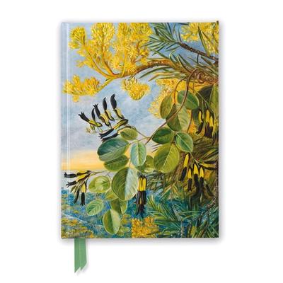 Premium Notizbuch DIN A5: Marianne North, Die Blüten des Flammenbaums – Kew Garden, Nonbook von Flame Tree Publishing, Brown Trout-Auslieferer