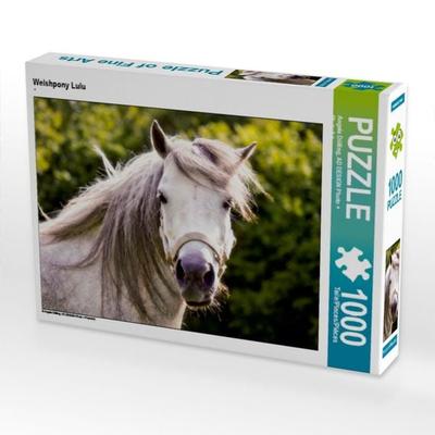 CALVENDO Puzzle Welshpony Lulu | 1000 Teile Lege-Größe 64x48cm Foto-Puzzle für glückliche Stunden