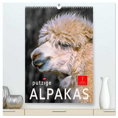 Putzige Alpakas (hochwertiger Premium Wandkalender 2026 DIN A2 hoch), Kunstdruck in Hochglanz