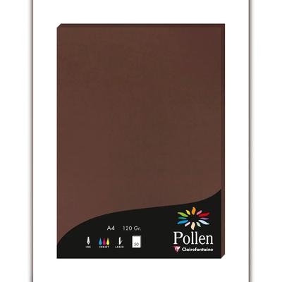 Pollen 10x Papier A4 Pollen 120g 50 Blatt - Kakao 4202C