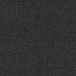 Objectflor  Expona  Simplay  2598  Tundra  Zone  Vinylboden  Designbelag  2,17  m2/Paket