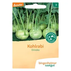 Bingenheimer Saatgut Kohlrabi Weiß Noriko demeter