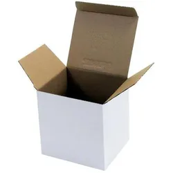 Transpak, Versandkarton + Versandbox, Faltkarton 1-wellig Automatikboden Masse 110x95x110mm A7 Qualität 1.1E weiss weiss (40 Stk.)
