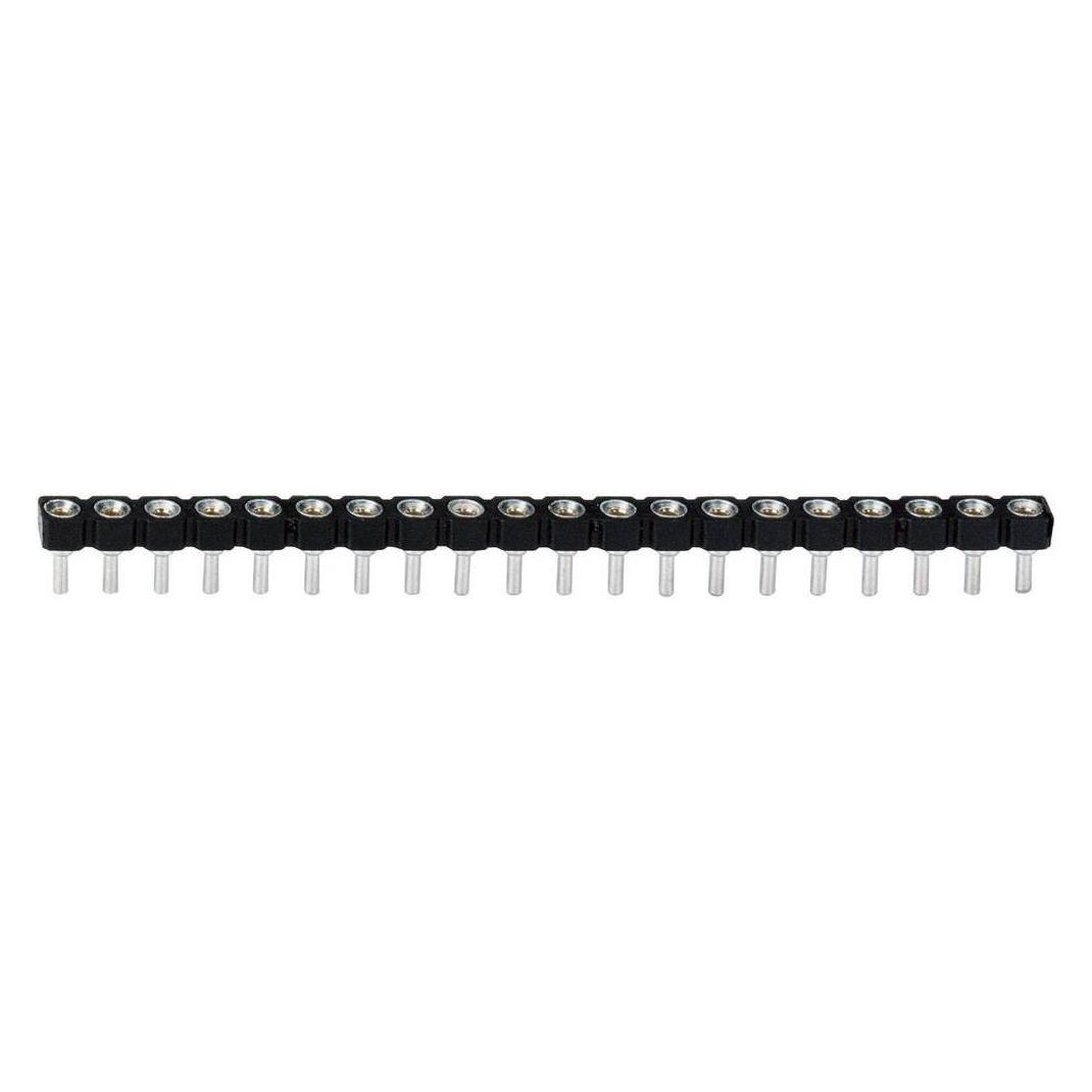 BKL Electronic Präzisions-Buchsenleiste RM 2.54 mm (10120830)