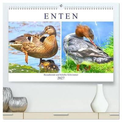 Enten. Bezaubernde und beliebte Schwimmer (hochwertiger Premium Wandkalender 2027 DIN A2 quer), Kunstdruck in Hochglanz