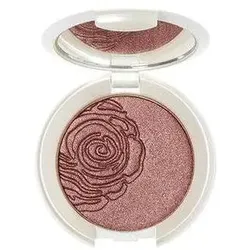 Clinique, Lidschatten, CBN, Source Beaute, Eyeshadow Compact, 49, 3 g For Women (49)