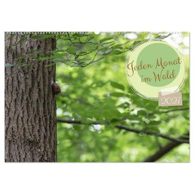 Jeden Monat im Wald (Wandkalender 2027 DIN A2 quer), CALVENDO Monatskalender