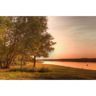 Fototapete PAPERMOON "SEE-NATUR LANDSCHAFT WALD IDYLLE BÄUME DÄMMERUNG MEER", bunt, B:4,5m L:2,8m, Vlies, Tapeten