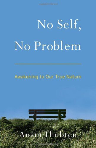 Anam Thubten - No Self, No Problem: Awakening to Our True Nature - Preis vom 09.10.2026 07:28:09 h