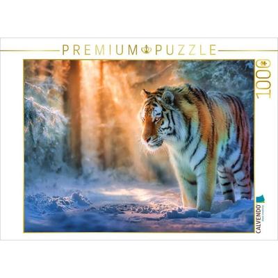 CALVENDO Puzzle Zwischen Licht und Schatten | 1000 Teile Lege-Größe 64x48cm Foto-Puzzle für glückliche Stunden