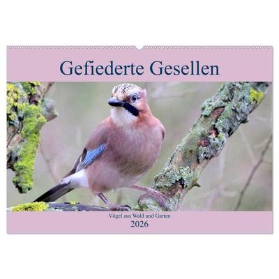 Gefiederte Gesellen - Vögel aus Wald und Garten (Wandkalender 2026 DIN A2 quer), CALVENDO Monatskalender