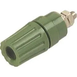 SKS Kontakttechnik GmbH Polklemme PKI 110 gn