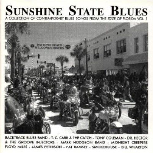 Various - Sunshine State Blues-Florida 1 - Preis vom 30.09.2026 09:01:18 h
