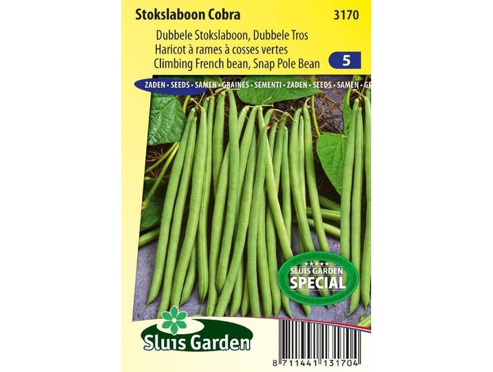 Stokslaboon zaden Cobra