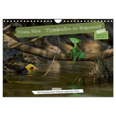 Costa Rica – Tierparadies im Regenwald (Wandkalender 2027 DIN A4 quer), CALVENDO Monatskalender