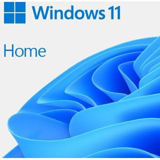Microsoft Windows 11 Pro 64 Bit OEM/DSP (englisch) DVD