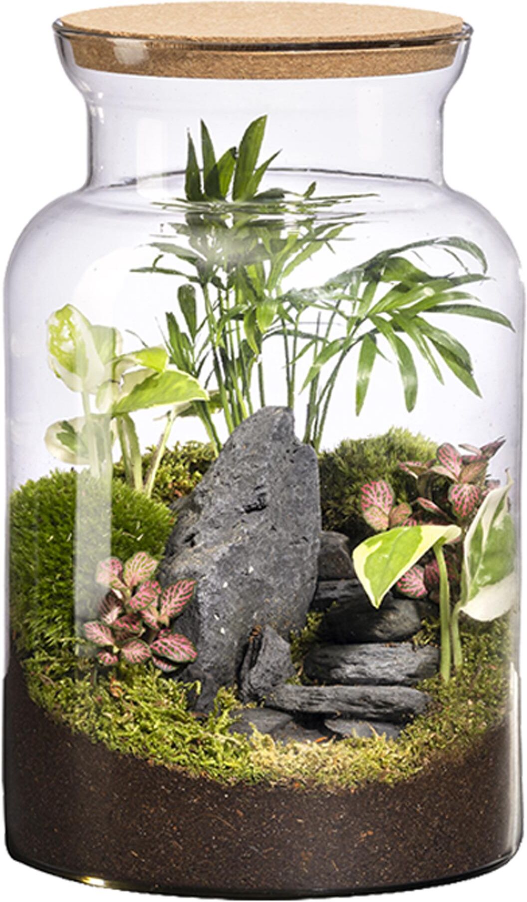 Naturalys Terrario Jungle M. Verde