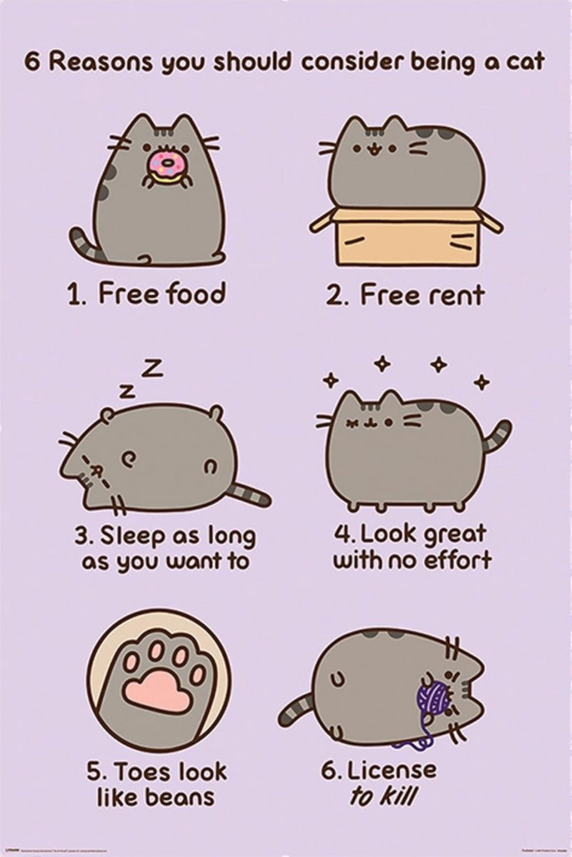Grote Poster voor Kattenliefhebbers Redenen om een Kat te Zijn inclusief 2 Houten Posterlijsten B/D/H: 61 x 91,5 cm