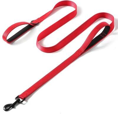 Inspired Living DualGrip Heavy Duty Dog Training Leash For Large & Medium Dogs red 2.5x120cm