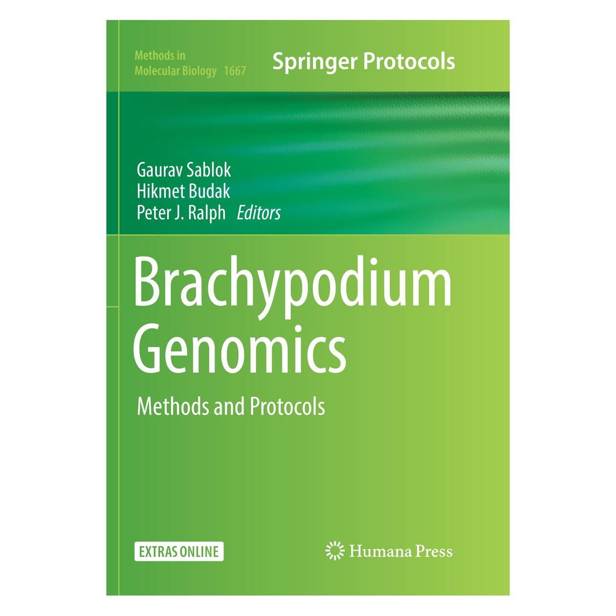 Springer Brachypodium Genomics (Englisch, Softcover, Gaurav Sablok, Hikmet Budak, Peter J. Ralph) (56065282)
