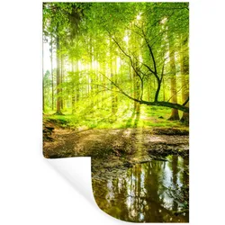 WANDTATTOO Wald - Landschaft - Wasser - Bäume - Sonne - Grün - Natur Wandaufkleber 80x120 cm