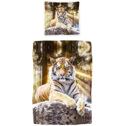 Traumschlaf, Bettwäsche, Tiger (Bettwäsche Set, 140x200 cm)