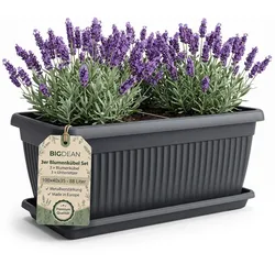 3er Pack BigDean Blumenkübel Jumbo 100×40×35cm 88 Liter – Mediterranes Design inkl. Untersetzer – Anthrazit