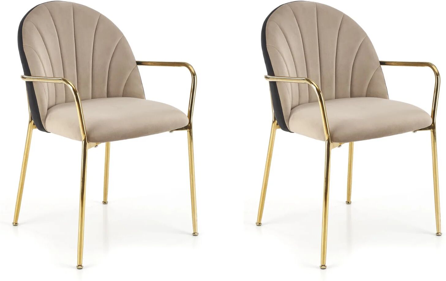 garneroarredamenti Set 2 sedie imbottite in velluto con braccioli nero beige Arianna