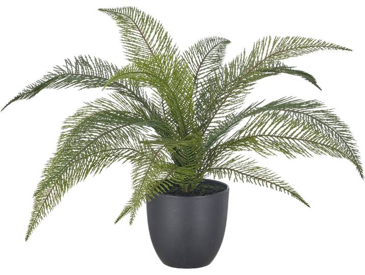Kunstpflanze CREATIV GREEN Farn Alsophila australis , grün, B:60cm H:50cm Ø:60cm, Obermaterial: 100% Kunststoff, Kunstpflanzen, Kunstpflanze, mit naturgetreuen Farnwedeln