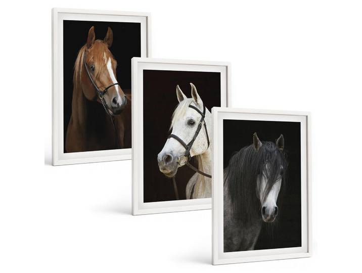 Tulup Bilder SET 3er Set - 40x60 cm Weißer Rahmen - Porträts von Pferden in verschiedenen Fellfarben, Kunststoff, Rechteckig, 40x60 cm, Fotografie, Bilder & Rahmen, Bilder