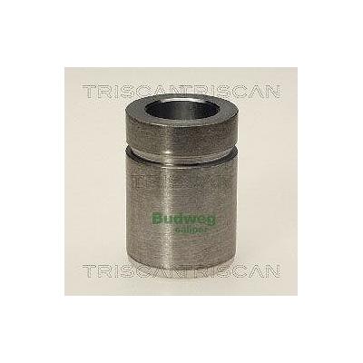 Triscan Kolben, Bremssattel [Hersteller-Nr. 8170233206] für Mazda