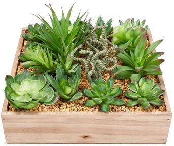 Assorted Faux Succulents with 10 Inch Wooden Box by Pure Garden - Green