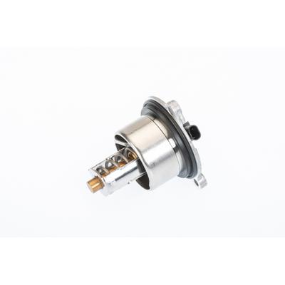 BORGWARNER Thermostat, Kühlmittel 411076.104D für Porsche