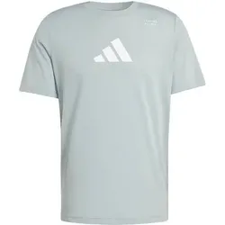 ADIDAS Herren Shirt CLIMACOOL Category Training Graphic, Größe S in Grün Grün