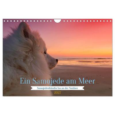 Ein Samojede am Meer (Wandkalender 2027 DIN A4 quer), CALVENDO Monatskalender