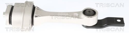 Triscan Lagerung, Motor 8505 29172 Für Vw