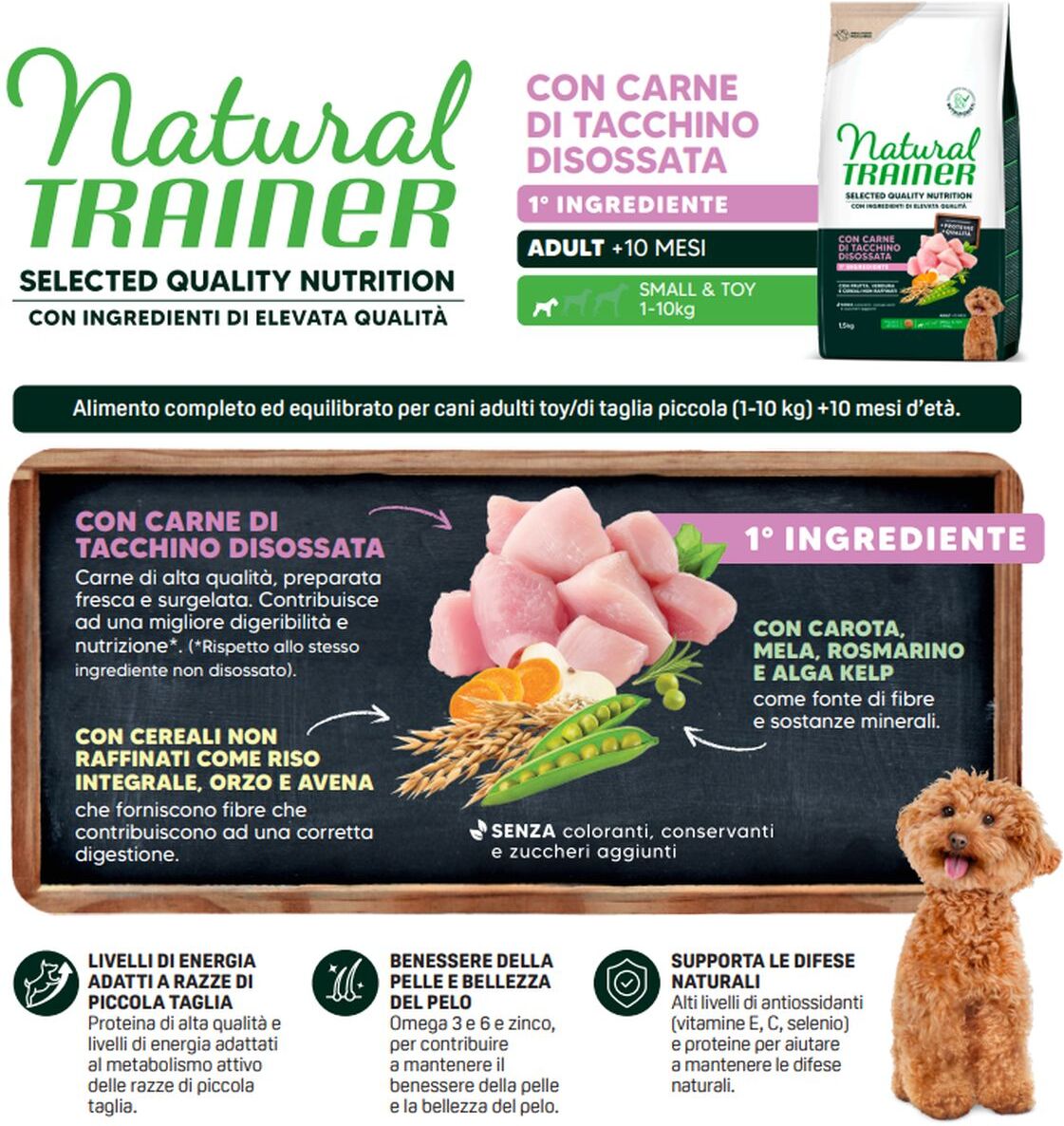 Natural Trainer Selected Quality Cane Small & Toy con Tacchino 1.5KG
