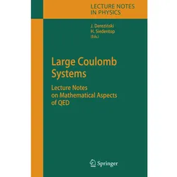 Large Coulomb Systems, Fachbücher