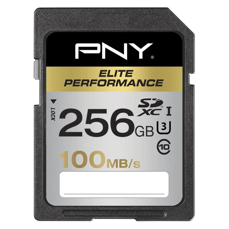 PNY SDXC Card 256GB, Class 10, Elite Perf (256 GB, SDXC, U3, UHS-I) (SD256ELIPER-EF)