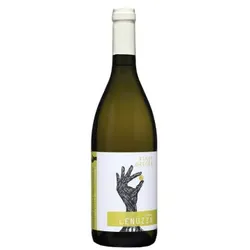 Pinot Grigio 2024 - Vigna Lenuzza