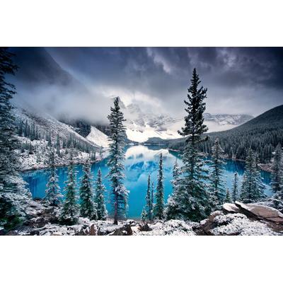 Fototapete PAPERMOON "Photo-Art TREVOR COLE, MORGEN BLUES", bunt, B:4,5m L:2,8m, Vlies, Tapeten