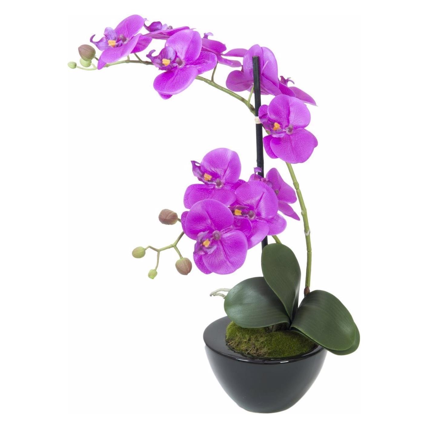 Europalms Orchideen-Arrangement 4, künstlich (45 cm) (82530349)
