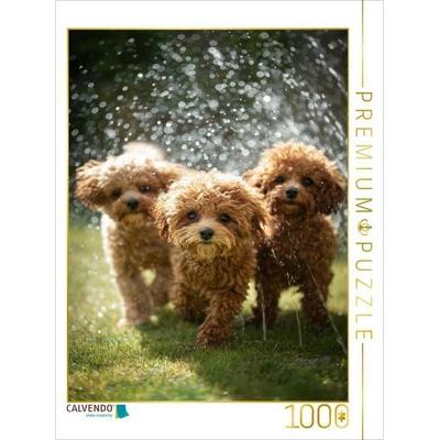 CALVENDO Puzzle Ich sage immer, ab durch den Regen | 1000 Teile Lege-Größe 64x48cm Foto-Puzzle für glückliche Stunden