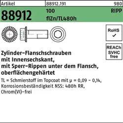 Zylinderflanschschraube R 88912 Sperr-Ripp In.-6kt M6x20 100 flZnnc480h-L 500St