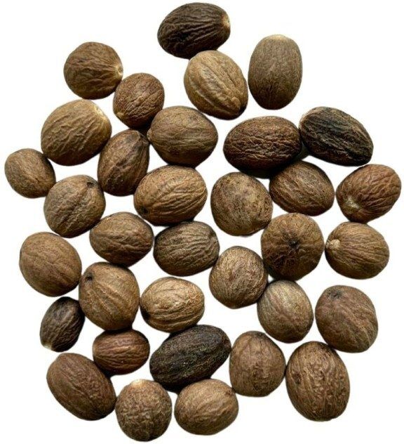France Herboristerie Tisane Noix de Muscade ENTIERE Nux moschata