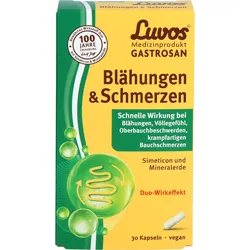 Luvos Gastrosan Blähungen & Schmerzen 30 ST
