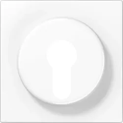 JUNG Abdeckung aws für Schlüsselschalt. LS 928 WW